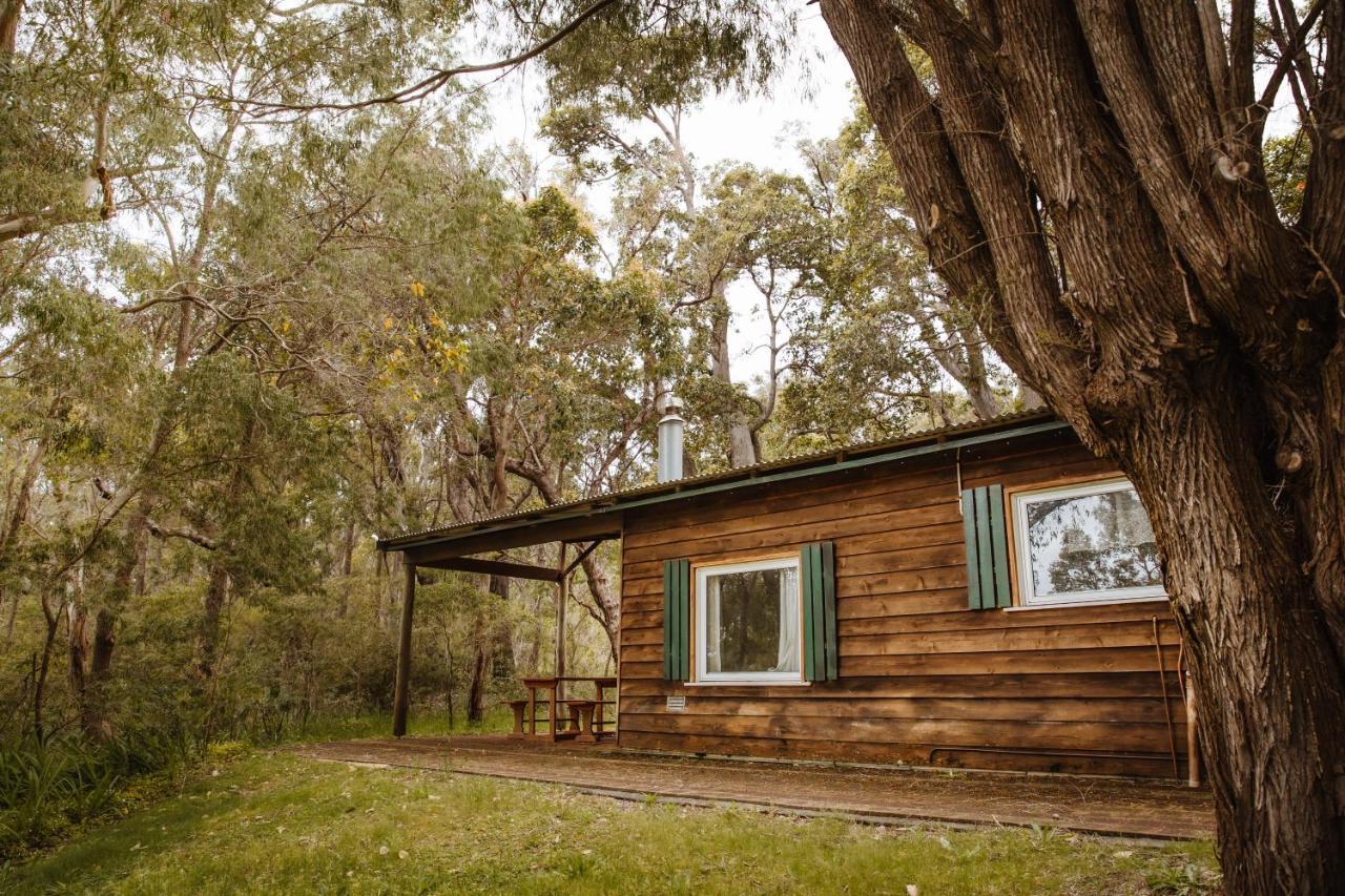 Gum Grove Chalets Денмарк Экстерьер фото
