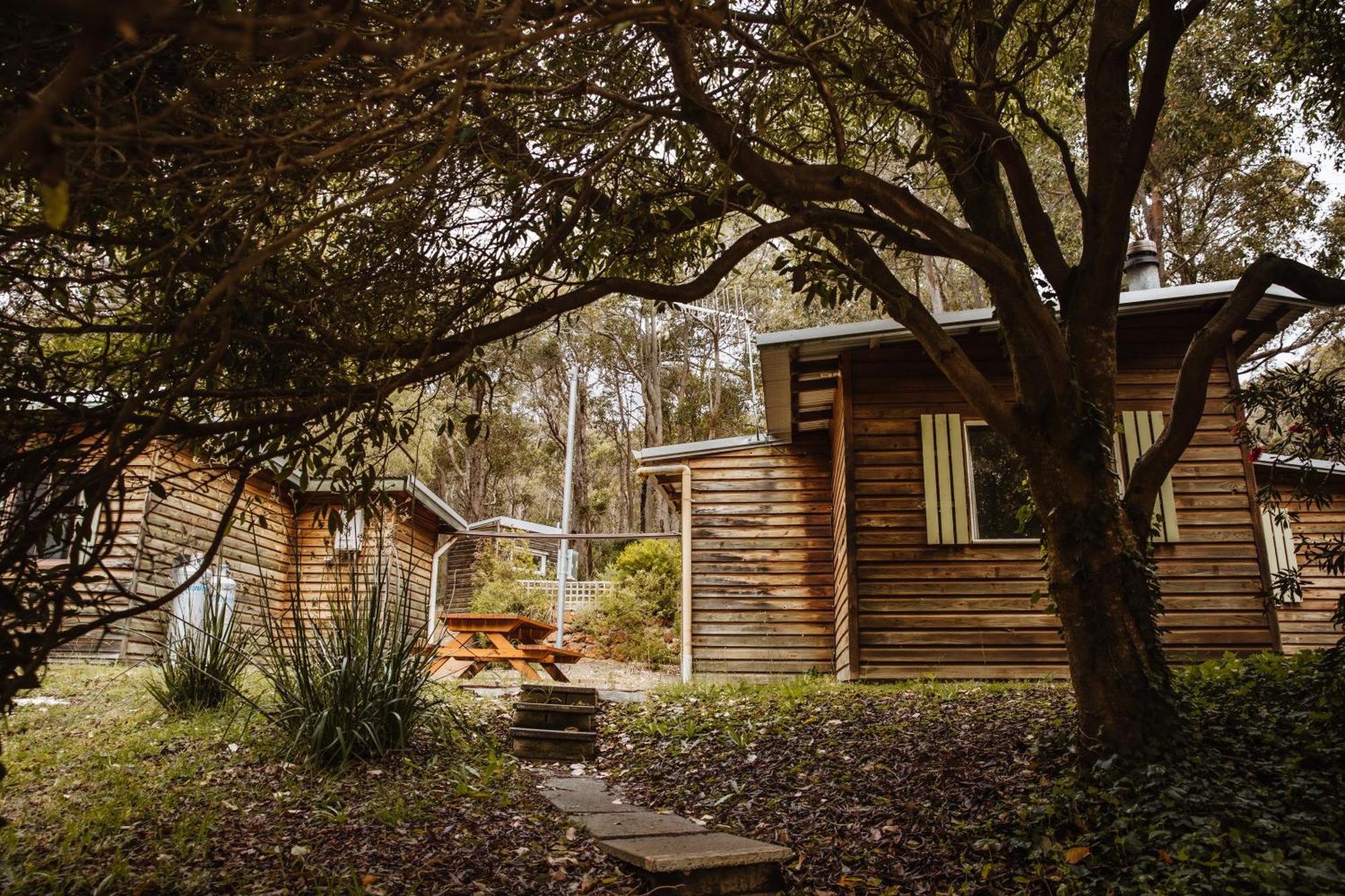 Gum Grove Chalets Денмарк Номер фото